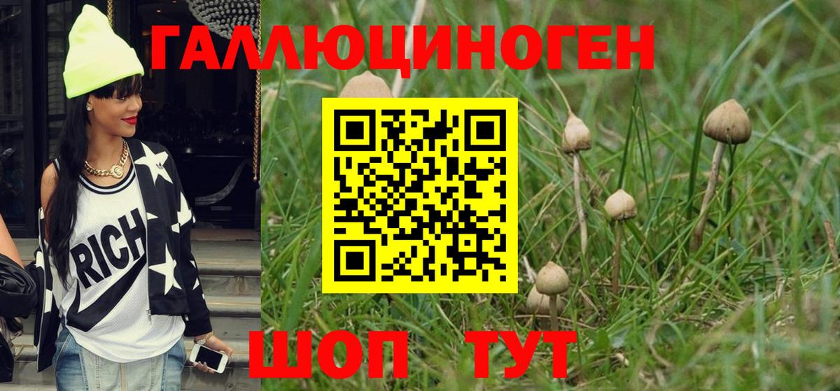 Галлюциногенные грибы Psilocybe  Вход с VPN  Нефтекамск 